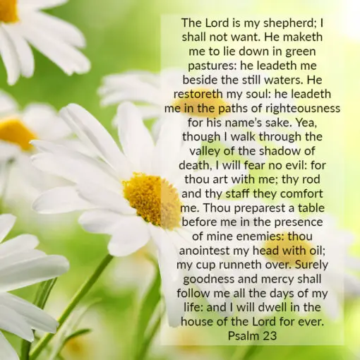 Psalm 23 - Lord is My Shepherd; I Shall Not Want - Bible Verses To Go