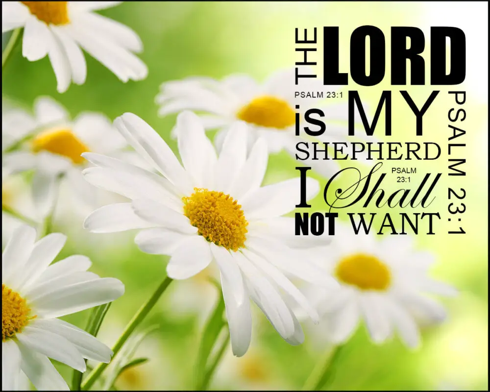 Psalm 23:1 – Lord My Shepherd – Encouraging Bible Verses