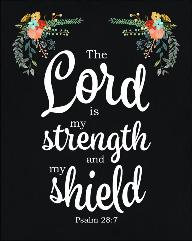 Psalm 28:7 – Strength and Shield – Encouraging Bible Verses