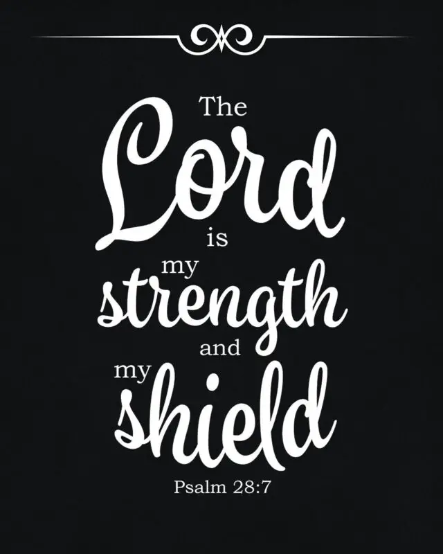 Psalm 28:7 – Strength and Shield – Encouraging Bible Verses