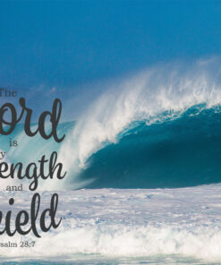 Psalm 28:7 - Strength and Shield - Bible Verses To Go
