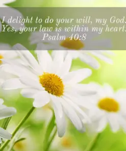 Psalm 40:8 - I Delight to Do Your Will - Bible Verses To Go