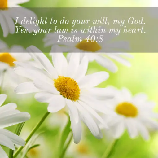 Psalm 40:8 - I Delight to Do Your Will - Bible Verses To Go