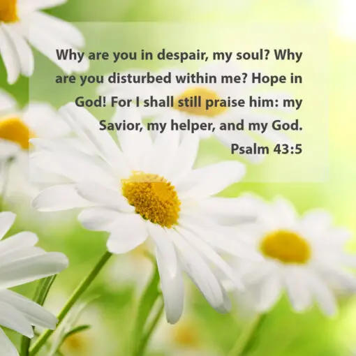 Psalm 43:5 - Hope in God My Helper - Bible Verses To Go