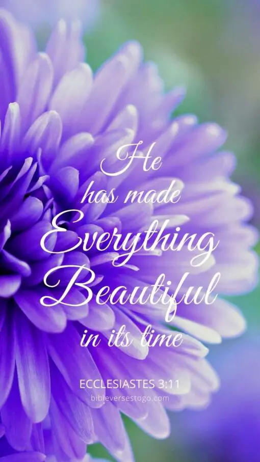 Christian Wallpaper - Purple Bloom Ecclesiastes 3:11