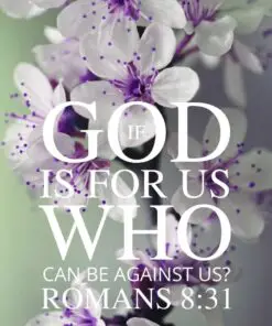 Christian Wallpaper - Purple n White Romans 8:31