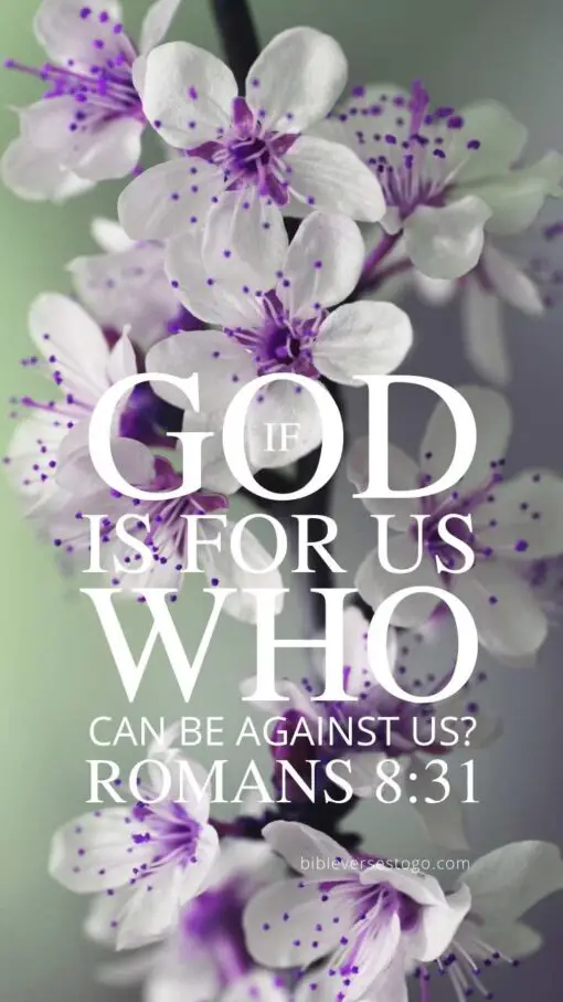 Christian Wallpaper - Purple n White Romans 8:31