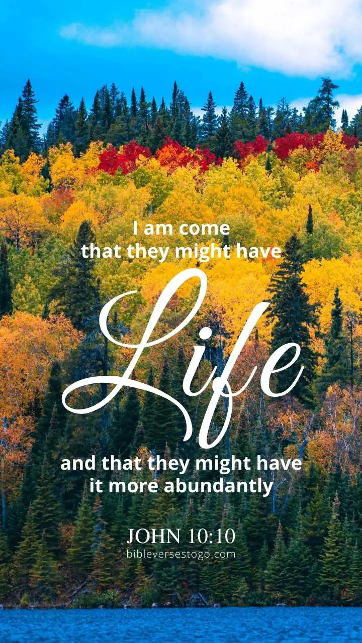 Galatians 1:15 KJV Mobile Phone Wallpaper - But when it pleased God, who  separated me from my
