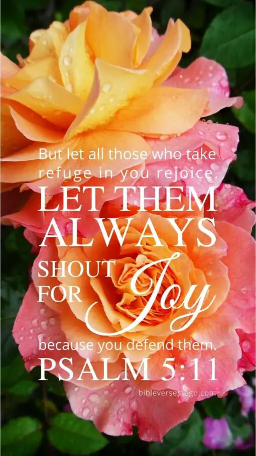 Christian Wallpaper - Rainbow Roses Psalm 5:11