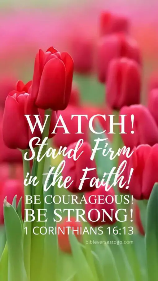 Christian Wallpaper - Red Garden 1 Corinthians 16:13