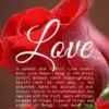 Christian Wallpaper – Red Rose 1 Corinthians 13:4-8