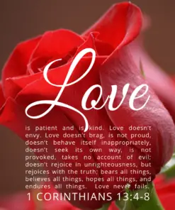 Christian Wallpaper – Red Rose 1 Corinthians 13:4-8