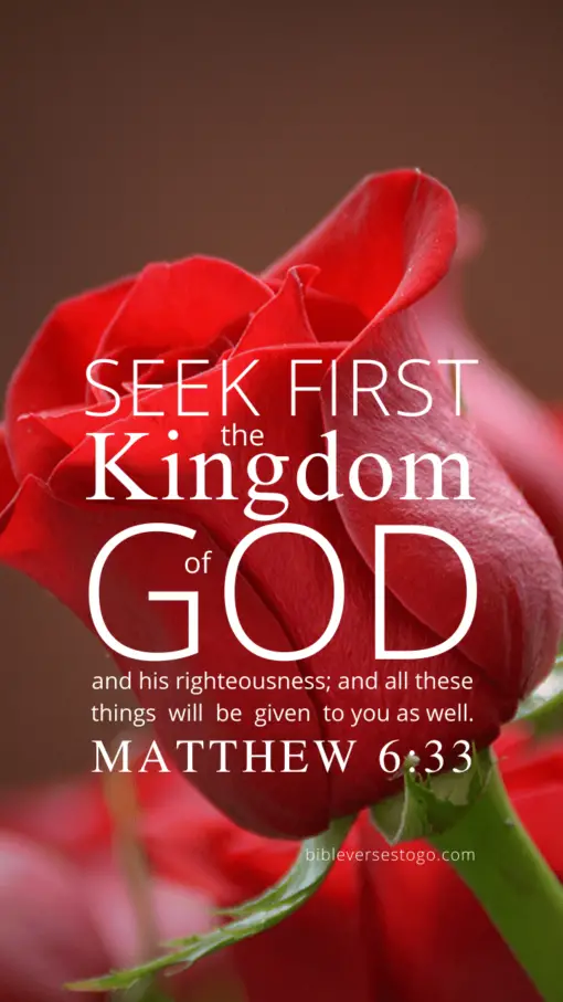 Christian Wallpaper – Rec Rose Matthew 6:33