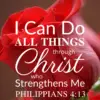 Christian Wallpaper – Red Rose Philippians 4:13