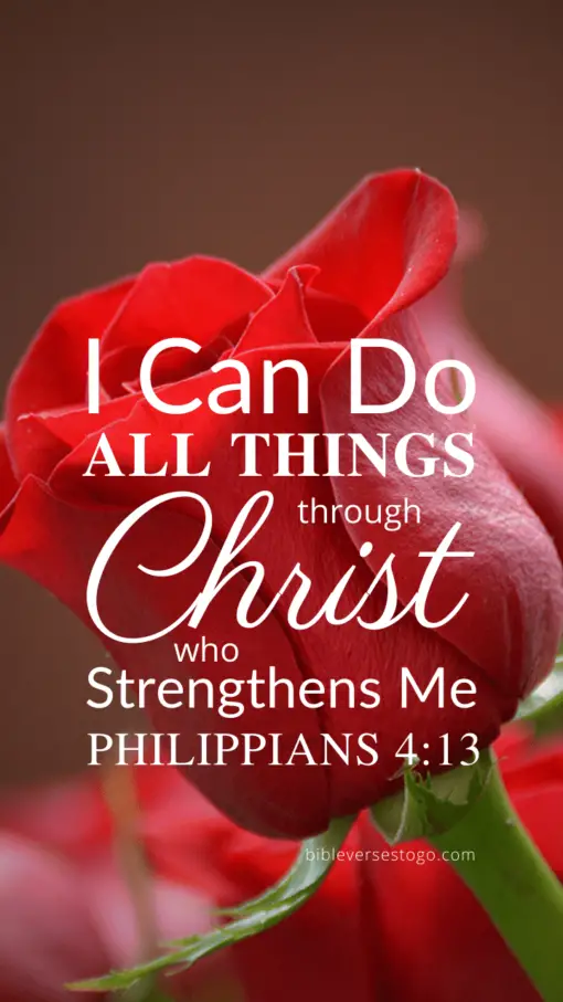 Christian Wallpaper – Red Rose Philippians 4:13