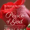 Christian Wallpaper – Red Rose Philippians 4:6-7