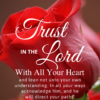 Christian Wallpaper – Red Rose Proverbs 3:5-6