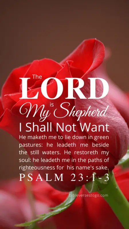 Red Rose Psalm 23:1-3 – Encouraging Bible Verses