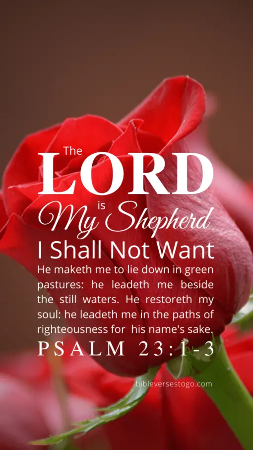 Christian Wallpaper – Red Rose Psalm 23:1-3