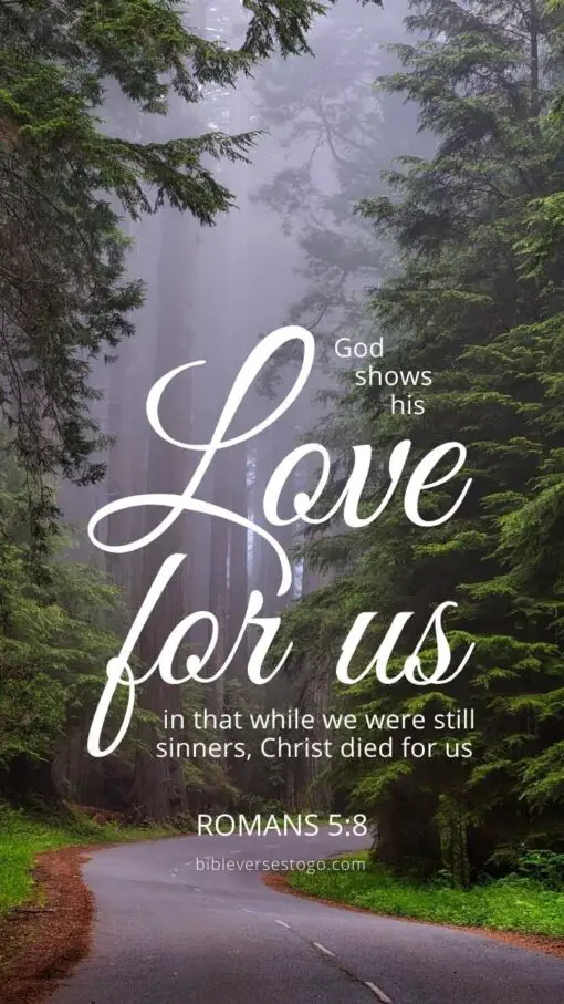 Christian Wallpaper - Redwood Forest Romans 5:8