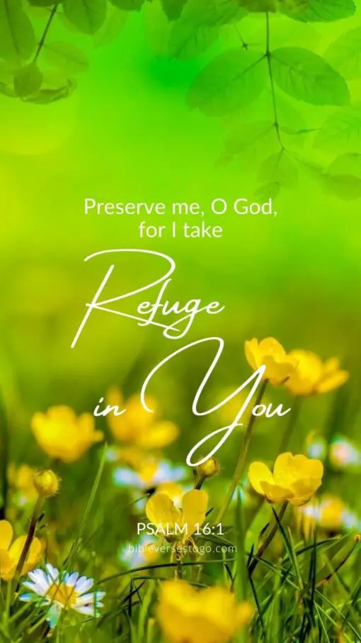Christian Wallpaper - Refuge in You Psalm 16:1