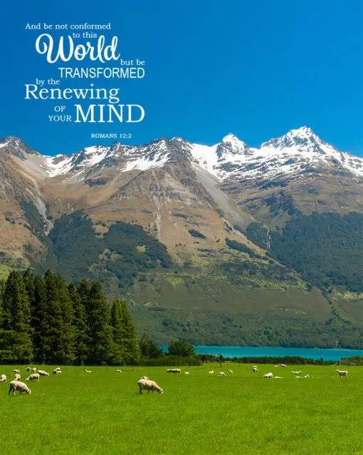 Romans 12:2 - Renewing of Your Mind - Bible Verses To Go