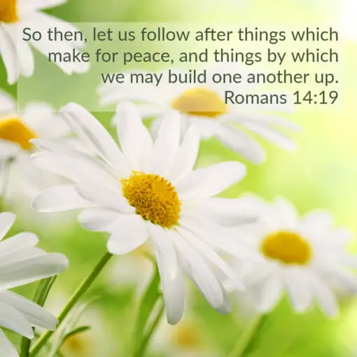 Romans 14:19 - Follow After Things For Peace - Bible Verses To Go