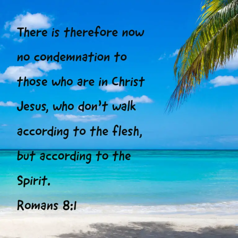 september-25-2020-bible-verse-of-the-day-romans-8-28-dailyverses