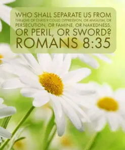 Romans 8:35 - Who Shall Separate Us From Christ's Love - Bible Verses To Go