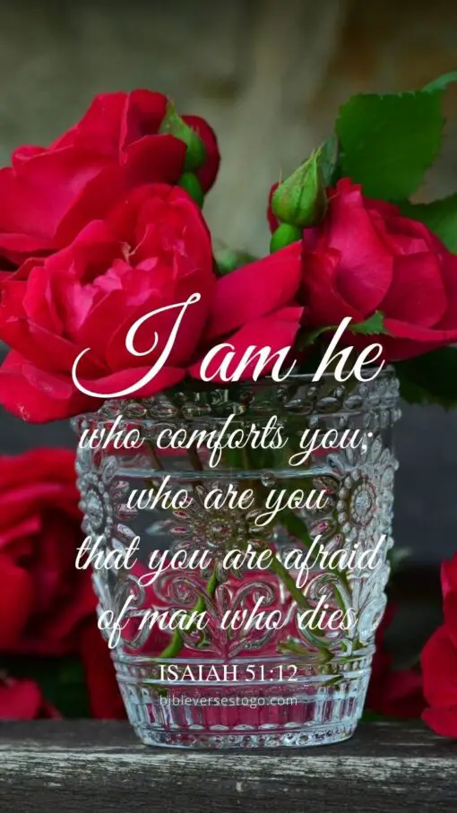 Christian Wallpaper - Rose Vase Isaiah 51:12