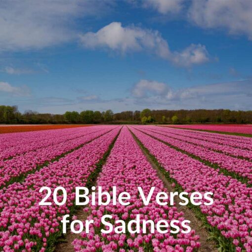 20 Bible Verses for Sadness - Download