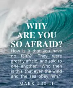 Christian Wallpaper - Sea Waves Mark 4:40-41