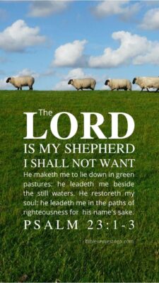 Sheep Psalm 23:1-3 – Encouraging Bible Verses