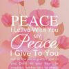 Christian Wallpaper – Soft Floral John 14:27