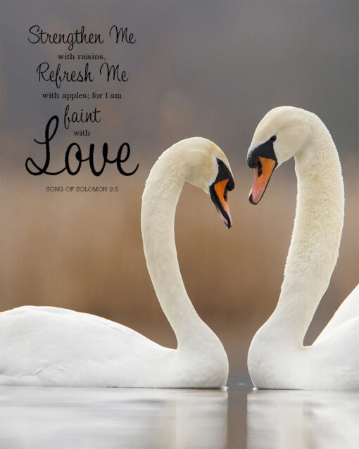 Song of Solomon 2:5 - I am Faint with Love - Bible Verses To Go