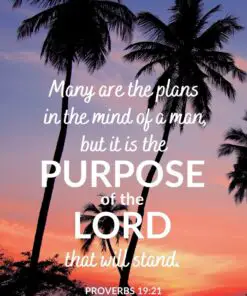 Christian Wallpaper - Sri Lanka Sunset Proverbs 19:21