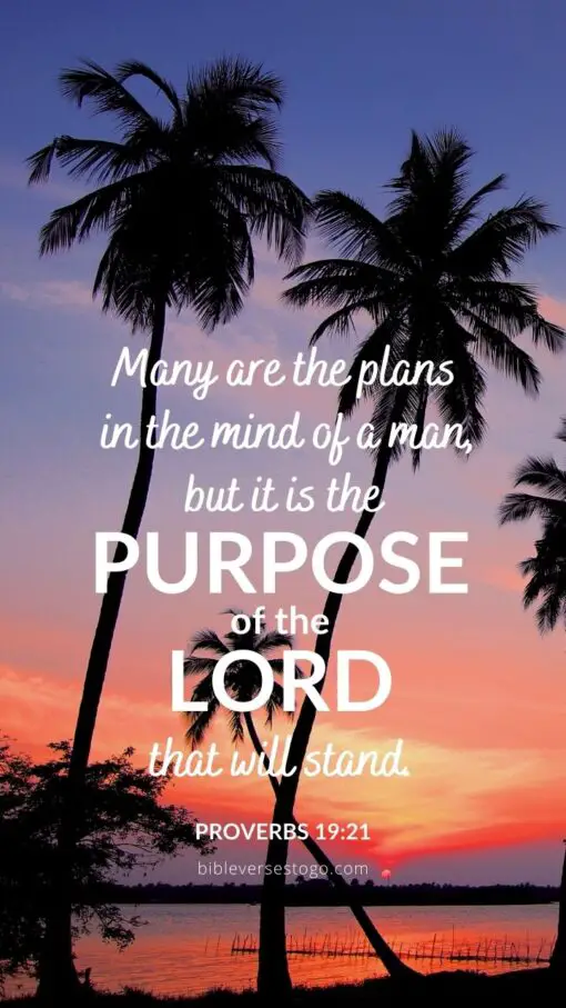 Christian Wallpaper - Sri Lanka Sunset Proverbs 19:21