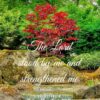Christian Wallpaper - Stood by Me 2 Timothy 4:17