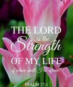 Christian Wallpaper - Strength of Life Psalm 27:1