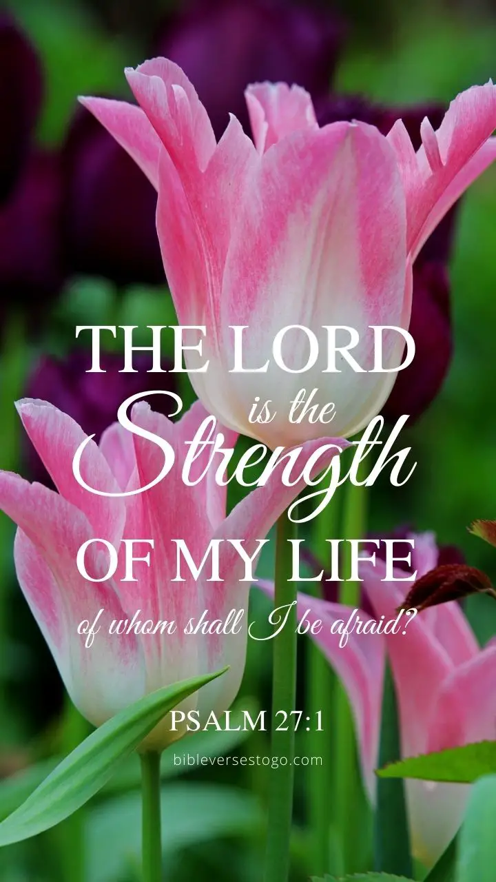 psalm-27-nlt-nrsv-dailyverses