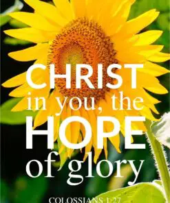 Christian Wallpaper - Sunflower Glory Colossians 1:27