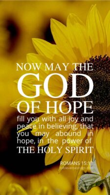 Sunflower Romans 15:13 – Encouraging Bible Verses