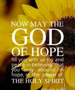 Christian Wallpaper - Sunflower Romans 15:13