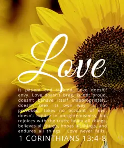 Christian Wallpaper – Sunflower 1 Corinthians 13:4-8