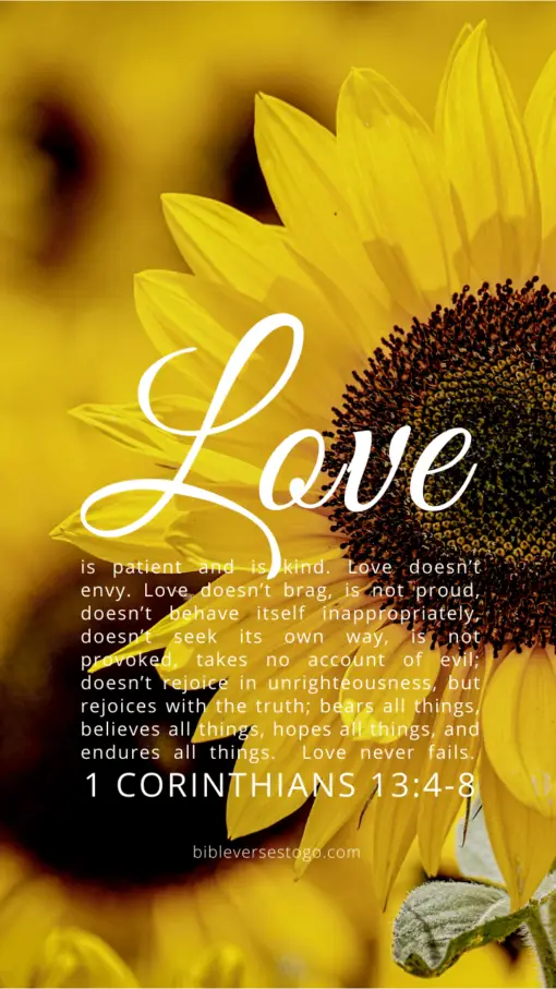 Christian Wallpaper – Sunflower 1 Corinthians 13:4-8