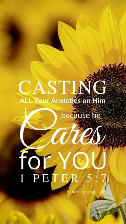 Christian Wallpaper – Sunflower 1 Peter 5:7