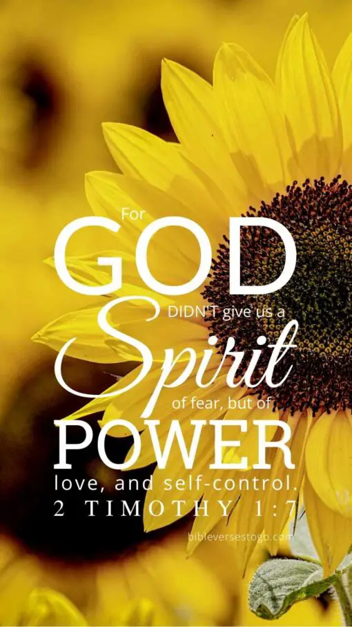 Christian Wallpaper – Sunflower 2 Timothy 1:7