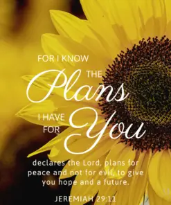 Christian Wallpaper - Sunflower Jeremiah 29:11