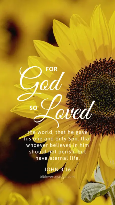 Sunflower John 3:16 – Encouraging Bible Verses