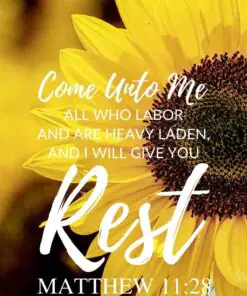 Christian Wallpaper – Sunflower Matthew 11:28